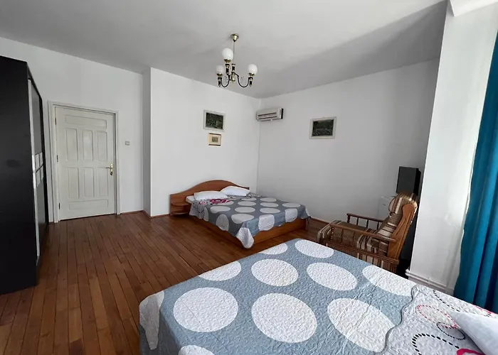 Amy Asterias בית אירוח אפורי נורד