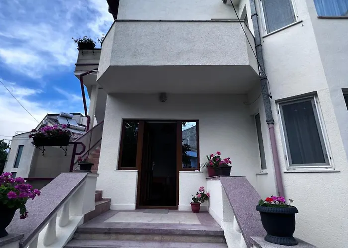 Amy Asterias אפורי נורד